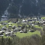Carola Apartment Sankt Gallenkirch