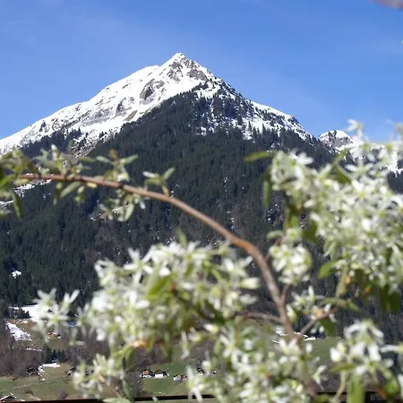 Carola Daire Sankt Gallenkirch