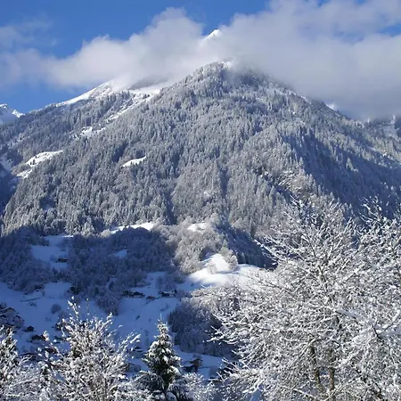 شقة Appartement Carola سانكت غالنكرش