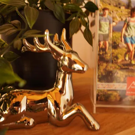 Daire Carola Sankt Gallenkirch